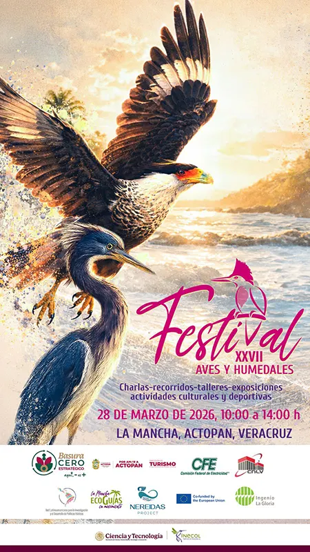 REDLATAMPP participa en el XXVII Festival Internacional de las Aves y Humedales 2026 en Veracruz, México - REDLATAMPP