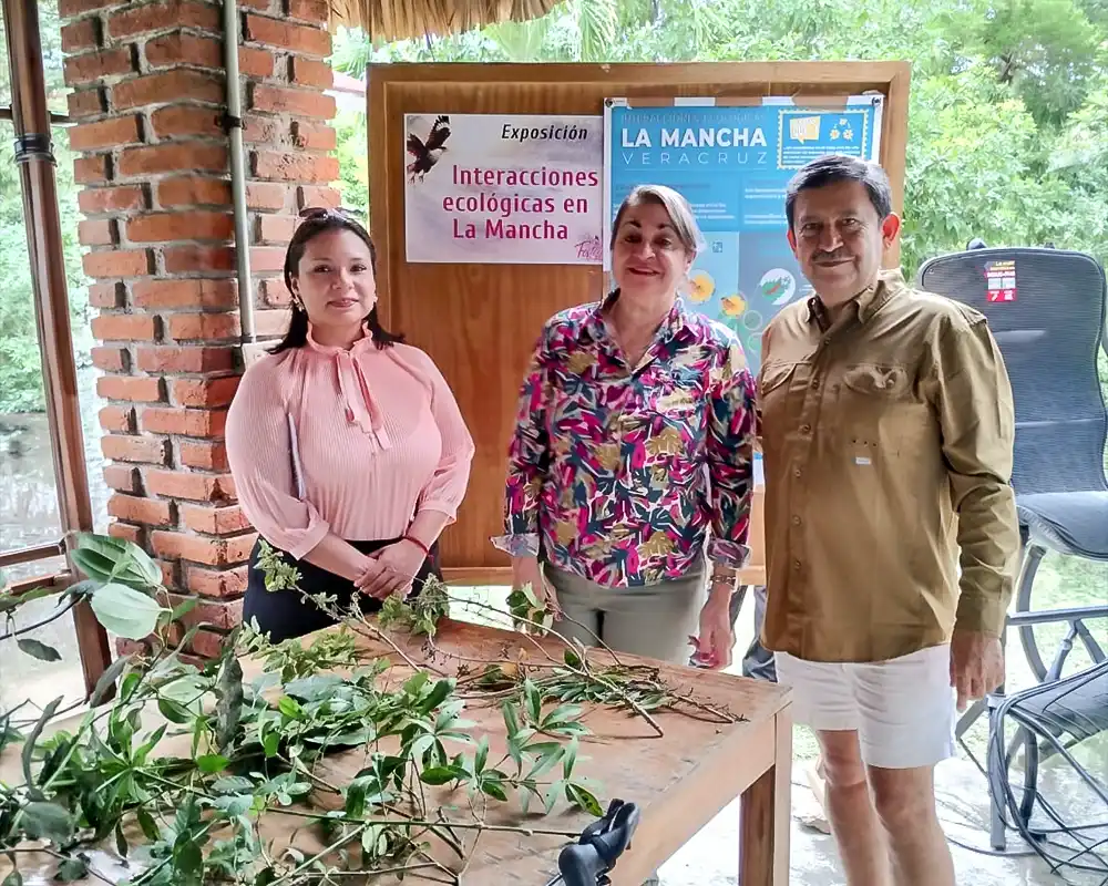 REDLATAMPP participa en el XXVII Festival Internacional de las Aves y Humedales 2026 en Veracruz, México - REDLATAMPP