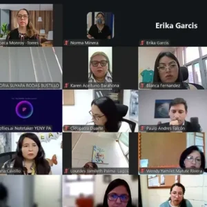 Conclusiones Webinar Educación Superior, ODS y EDS - REDLATAMPP