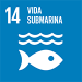 ico-obj-14-x150-vida-submarina