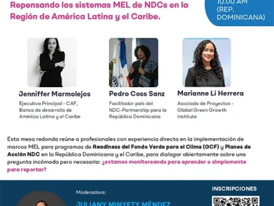 Mesa redonda: ¿Monitoreamos para aprender o para reportar? - REDLATAMPP
