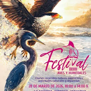 REDLATAMPP participa en el XXVII Festival Internacional de las Aves y Humedales 2026 en Veracruz, México - REDLATAMPP
