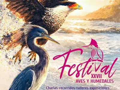 REDLATAMPP participa en el XXVII Festival Internacional de las Aves y Humedales 2026 en Veracruz, México - REDLATAMPP